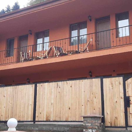 Guest House Borjomula Боржоми Экстерьер фото